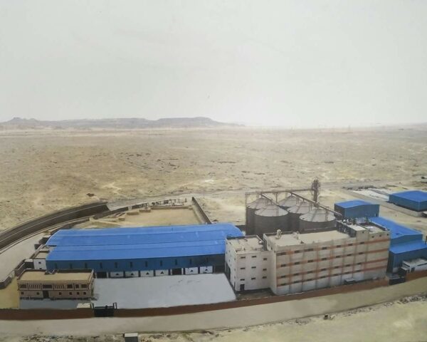 Egyptian-French Dairy Company